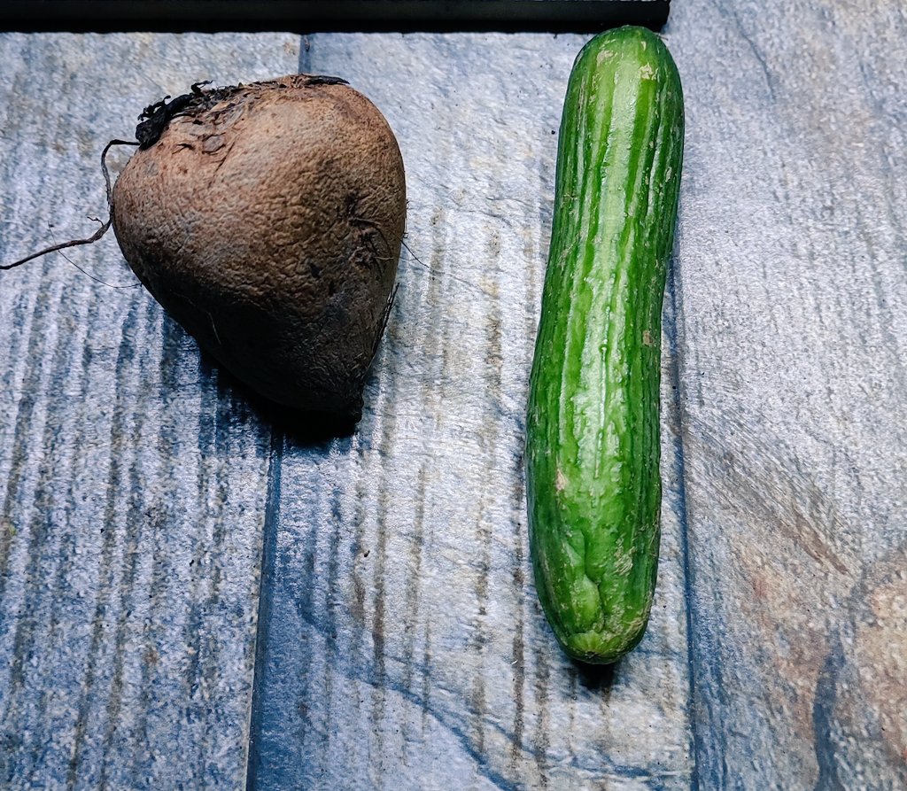 akhilse's tweet photo. @JioMart I am really astonished at your effort, for delivery of decayed veggies.
I would like to congratulate the packing team(KTYM) for there kind effort &amp; efficiency, making sure every rotten &amp; decayed veggies will be out of store &amp; delivered to the humble customers  like us... https://t.co/90LDwLenC3