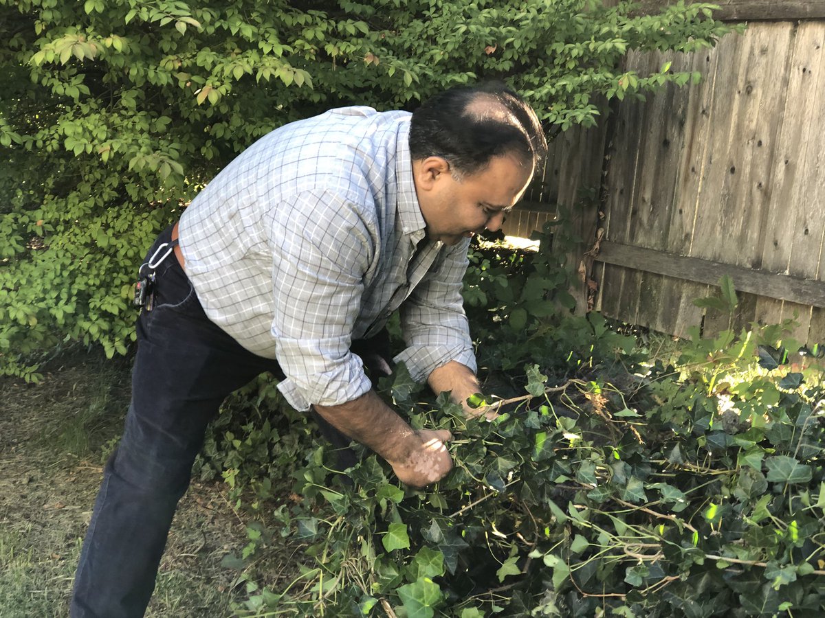 LVCConline's tweet photo. Our superstar 🤩 volunteers from @FultonBank tackled the overgrown ivy at LVCC at @mystlukes on Delaware Ave. in #Bethlehem. #DayofCaring #volunteersrock 🎸#volunteer @UnitedWayGLV @VolunteerLV https://t.co/czAspQIfdk