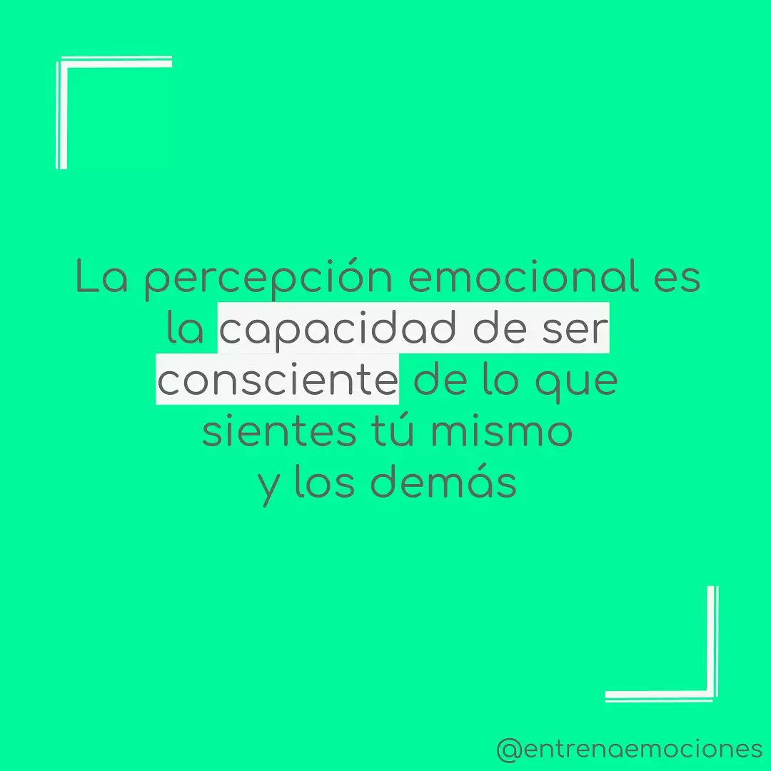 javierdomec1's tweet photo. 👉¿CÓMO ENTRENAR LA PERCEPCIÓN EMOCIONAL EN EL DEPORTE?
https://t.co/vfMuFsQ3Hl

⚠️Una manera sencilla de trabajar la inteligencia emocional con tus jugadores de una manera práctica. https://t.co/4Xoxhd5qcW