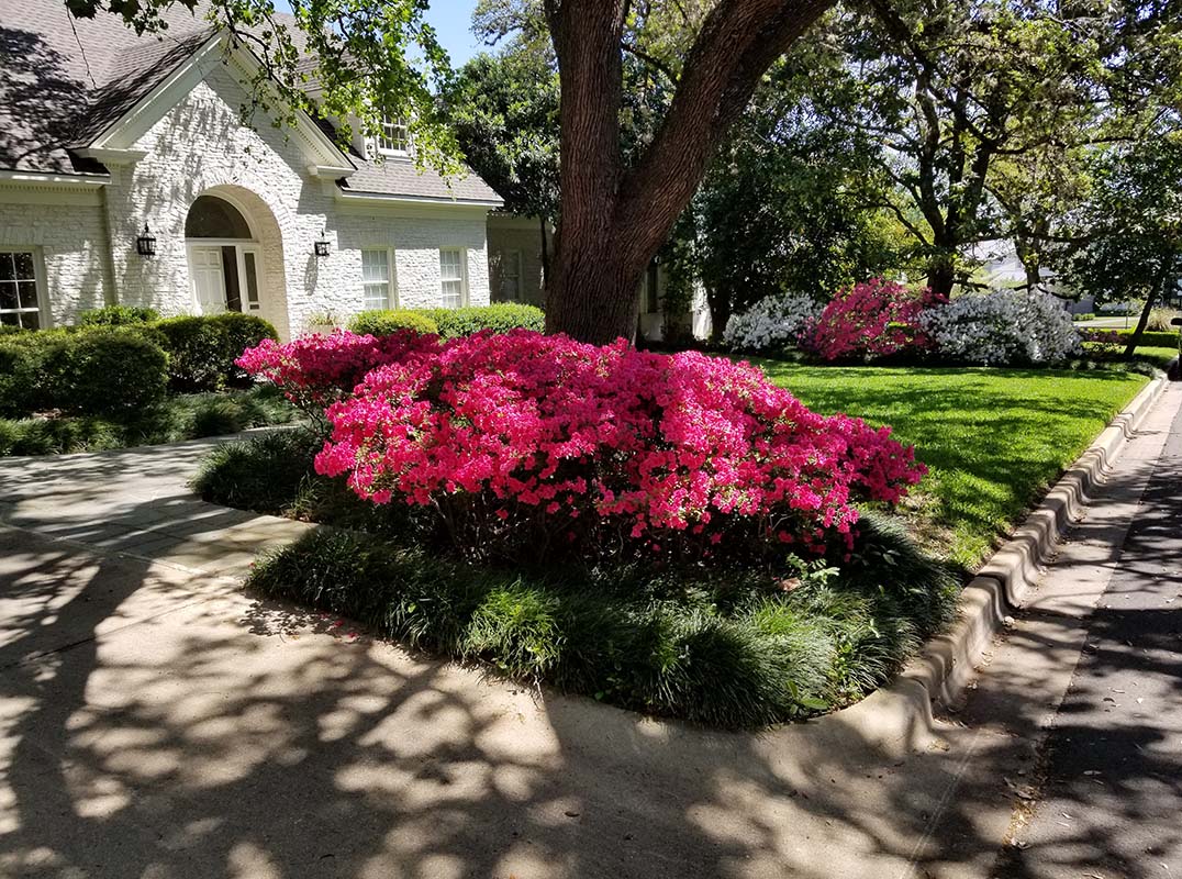 LHM_ATX's tweet photo. Lovely Pemberton Heights Classic. Offered by Pat and Drew Tate with Tate Properties. Visit: https://t.co/lLxO9rHWk4 https://t.co/R3iXyCr67W