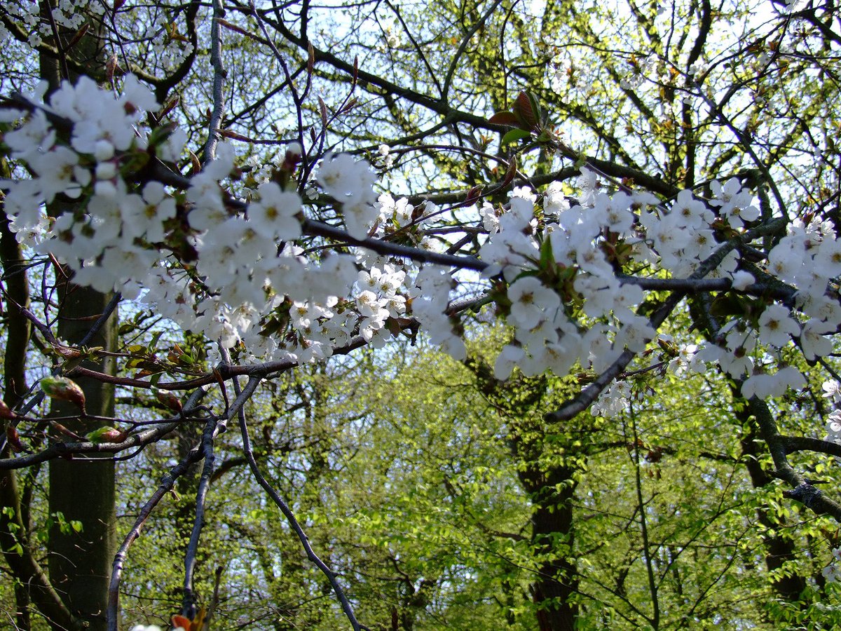 Debbie Jaye tweet media