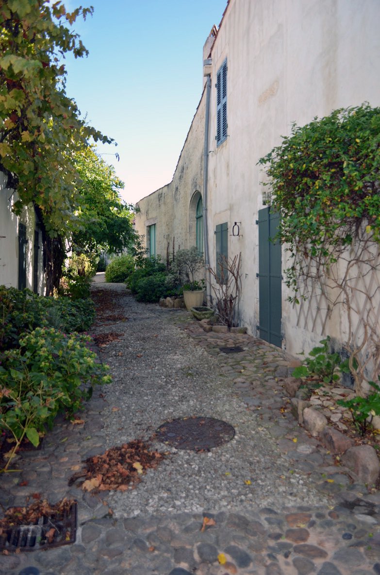 Debbie Jaye tweet media