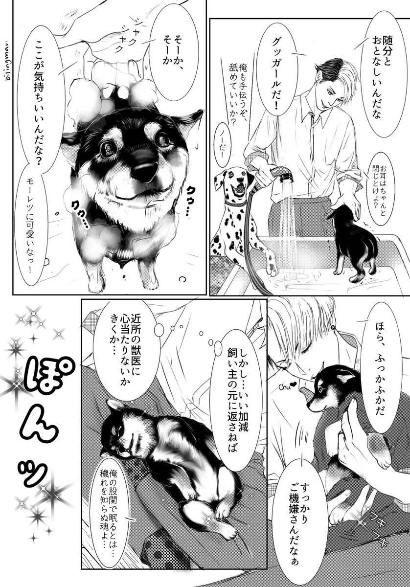 クル監ならぬクル柴⚗️🐕を描いてみました✨
あきらさん宅の黒柴ちゃんが可愛すぎて…
#twst仔犬祭🐶
#DC生誕祭仮 