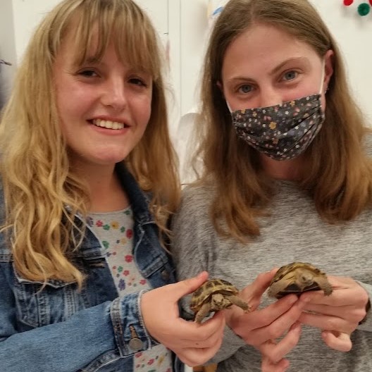ThePodCharity's tweet photo. Pod Plus had a great night getting up close and personal with some exotic animals https://t.co/6OyHKjWaE1