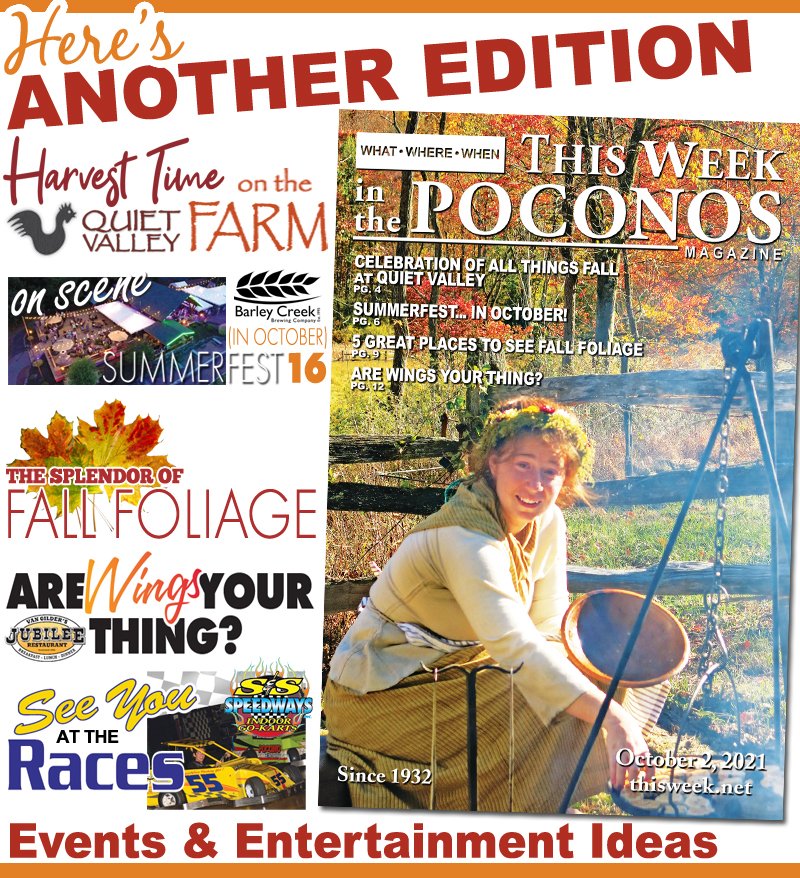 This Week Magazine tweet media