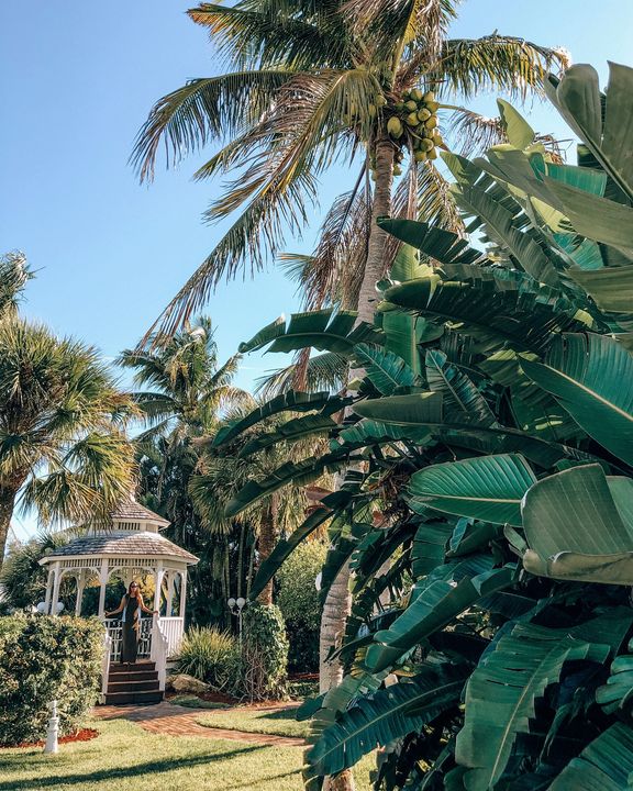 LemonTreeInn's tweet image. A stopping place in the middle of it all. #Vacation #VisitFL