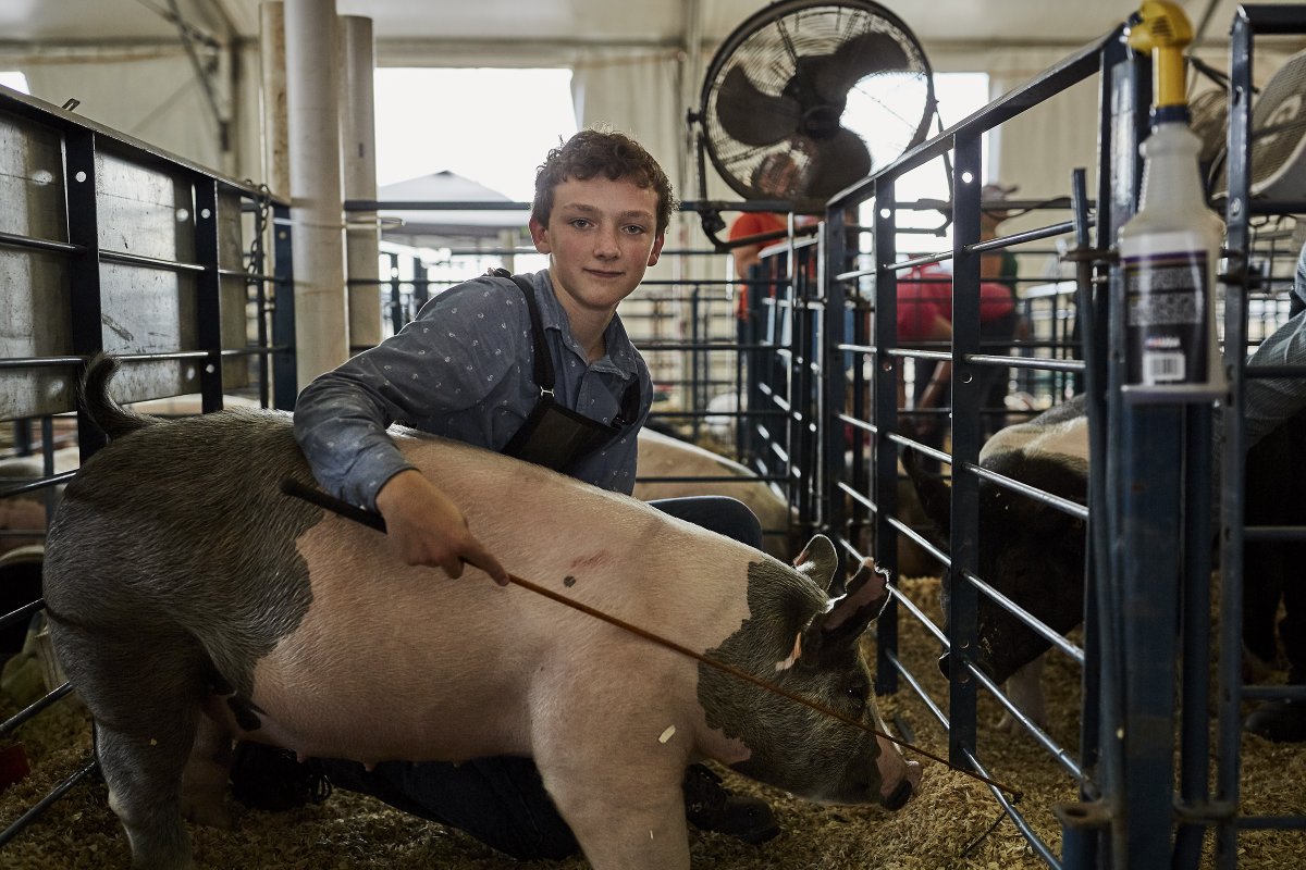 State Fair of VA tweet media