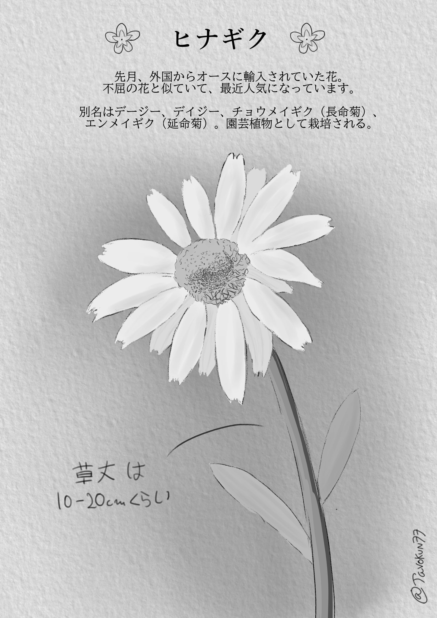 不屈の花 Poshuk U Tvitteri Tvitter