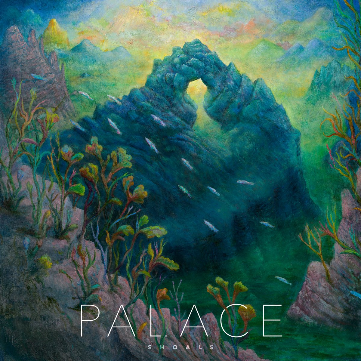 WeArePalace's tweet photo. We are beyond excited to finally announce that our third album ‘Shoals’ will be released on January 21st next year. It's been a real journey and we put our blood, sweat, tears and a whole lotta love into this record. We cannot wait for you all to hear it. https://t.co/C3EiAcjaJO https://t.co/8BDWDXbFGU
