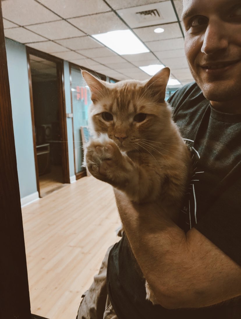 In honor of our 8th year in business, we as a team shared some of our #tbt photos from over the years! As you can see, we love cats, food, and colorful outfits🦸‍♀️. With 8 years behind us, the company is in an ideal position to continue growth. Here’s to many more years of fun!