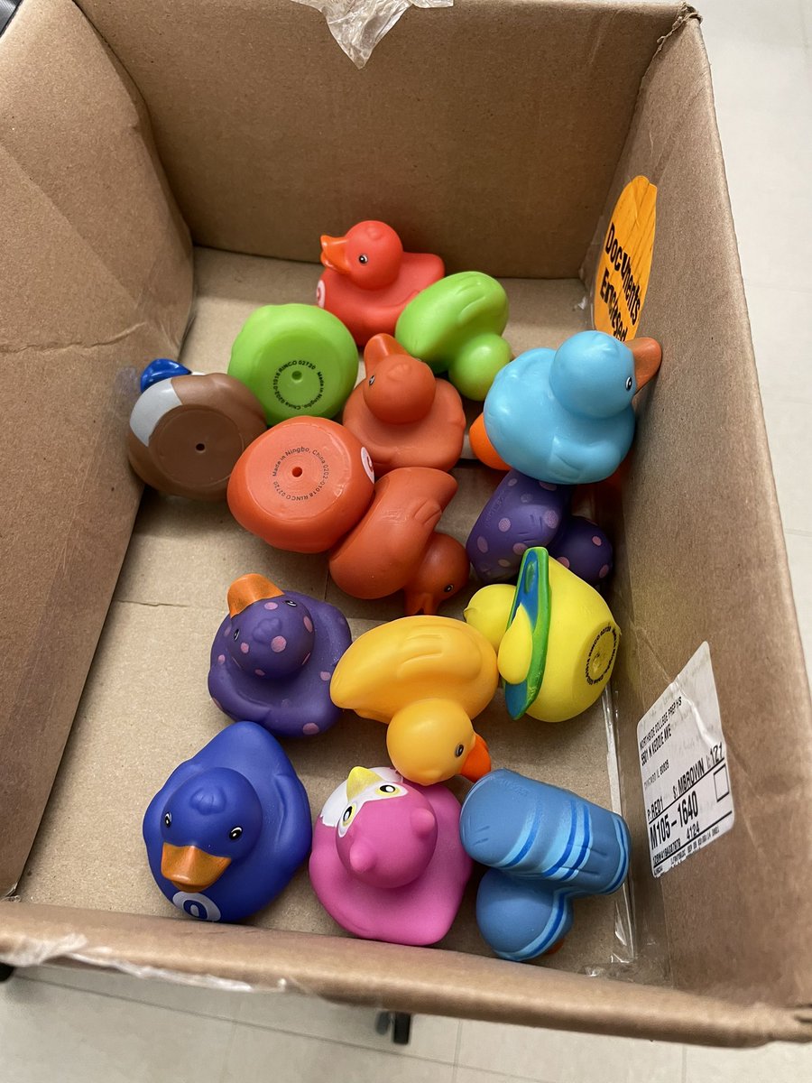 ncpcompsci's tweet image. It’s Duck Adoption Day in my AP Computer Science classes.