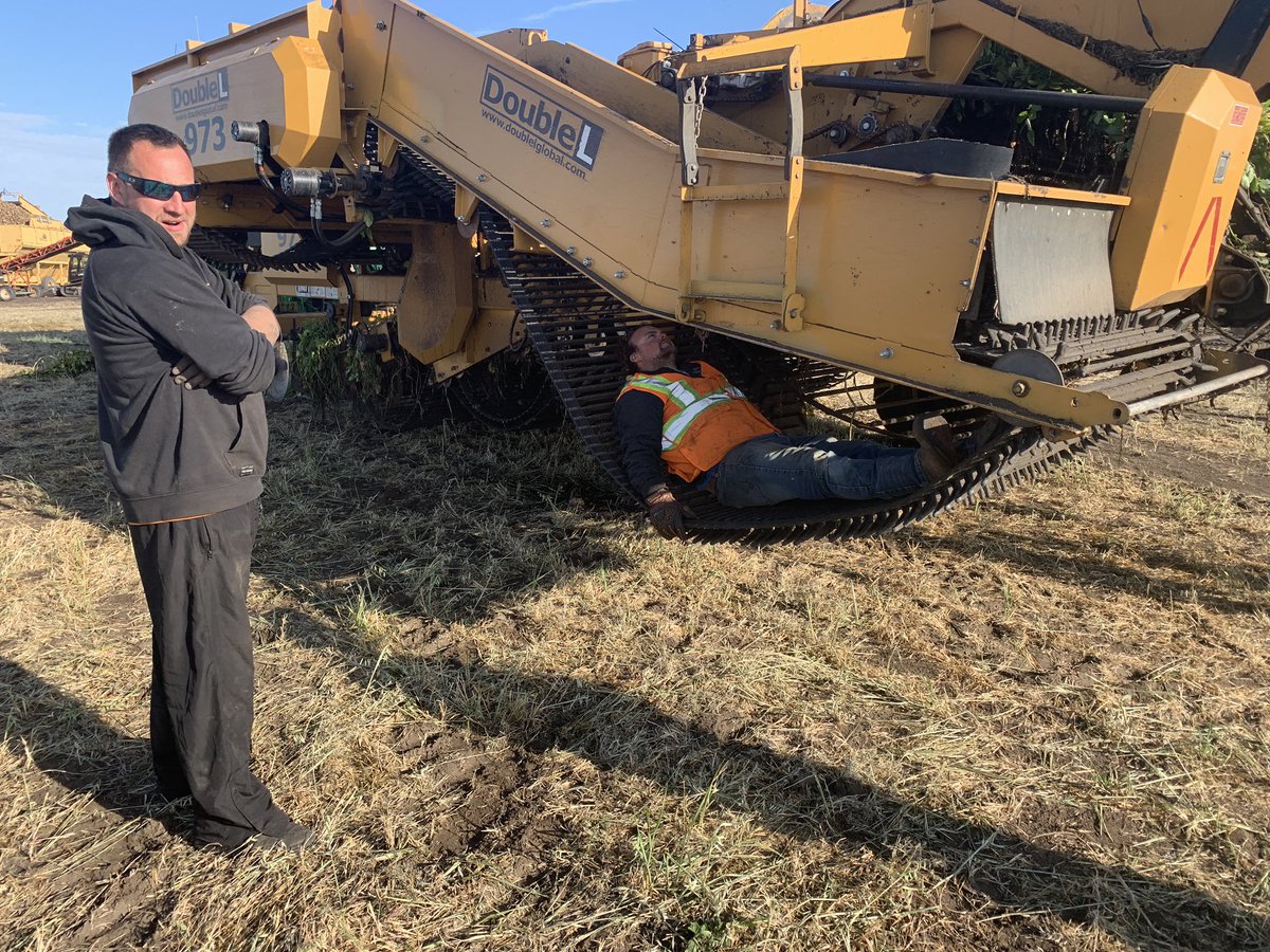 When your waiting for trucks, <a href="/DoubleLGlobal/">Double L Equipment</a> harvester doubles as a nice place to rest #potato #harvest21 <a href="/moneygrowsinrow/">William Prince</a>