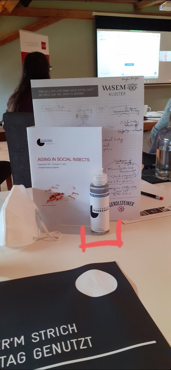 Ants_ee_thesis's tweet photo. Last talk of day two of the first meeting I've attended IN PERSON almost 2 years later. Admittedly the conference swag has some changes 😀 #ageing #socialinsects #gutenbergworkshops #JGUMainz @AgingPhD https://t.co/ePiMbFsmHa