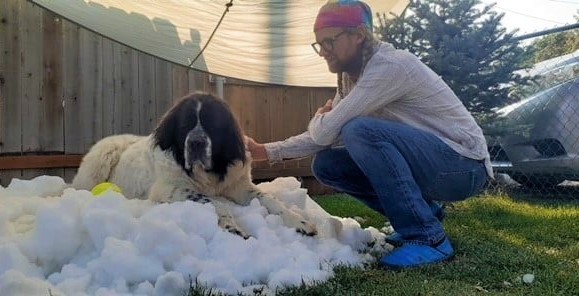 LADbible tweet media