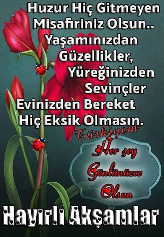ASEL4733's tweet photo. Tamam dediğiniz yerde bir pürüz daha çıkar her şeyde. Hayat işte hep güzel olmaz sürprizleri, bazen de üst üste gelir zorluklar, sıkıntılar. Her birini aşmak için sabır gerek, dirayet gerek. Ne diyelim, Allah herkese bunları versin.  #İyiakşamlar https://t.co/Qg0cwYEFc4