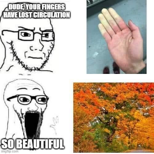 Emily Greenstein tweet media