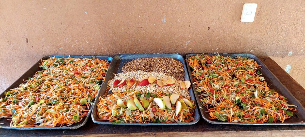 ZoochilpanGro's tweet photo. ¡El desayuno de nuestros ejemplares ya está listo! https://t.co/6Ou7KTgPRC