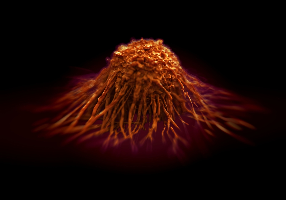 WeillCornell's tweet photo. A team led by researchers at #WCM, @MGHMedicine and @nygenome, developed a powerful technique that details brain tumors’ formidable resiliency and may lead to better ways to detect, monitor and treat cancers - a significant advance in cancer research.

https://t.co/y9wN9XVYyu https://t.co/4G3wf7Aifx
