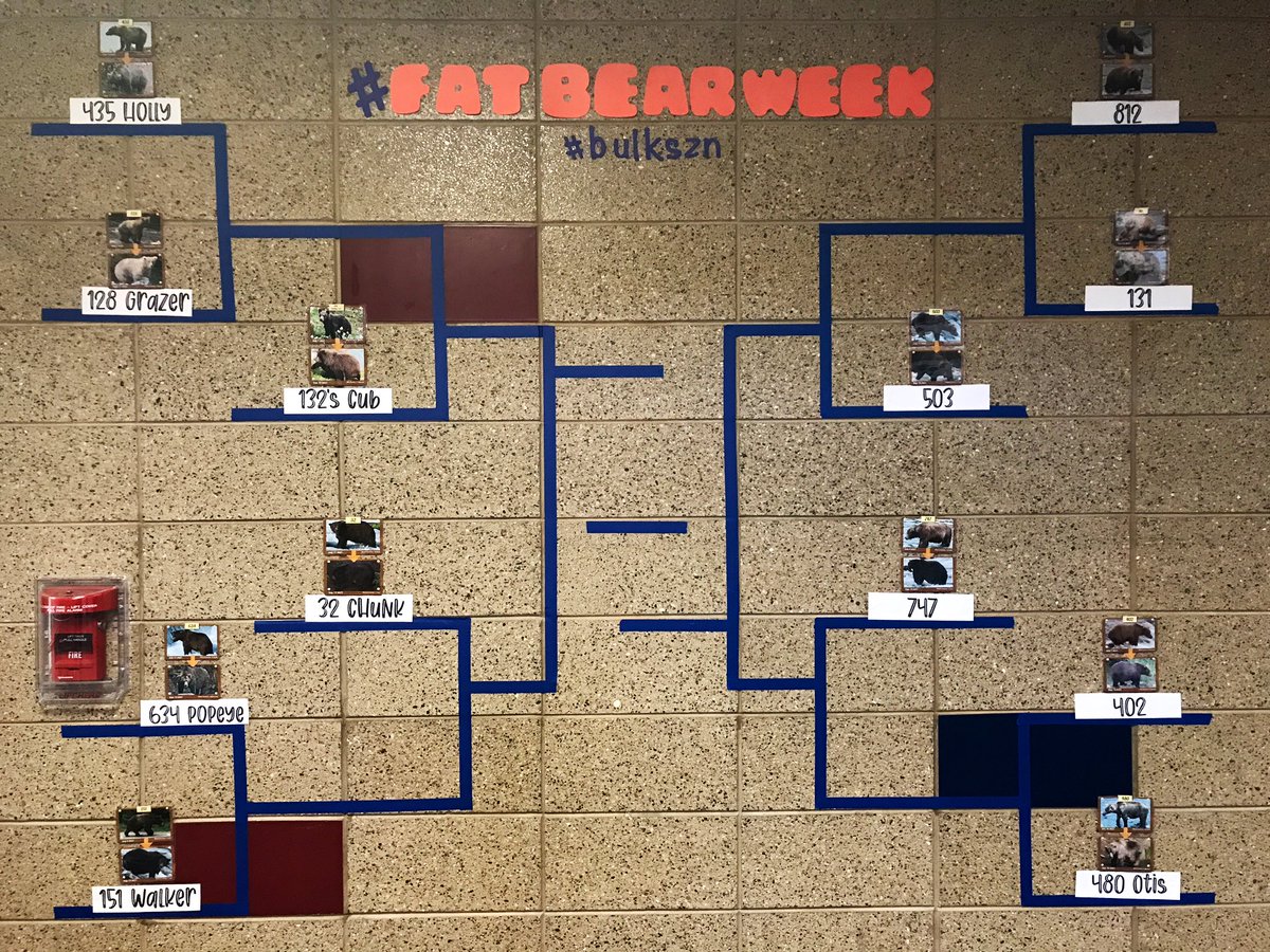AmandaHarrisSD's tweet photo. #FatBearWeek has officially kicked off @Endeavor_Elem! Who are you rooting for? #sdeducators #edchatSD https://t.co/4mqvH3UBJ2
