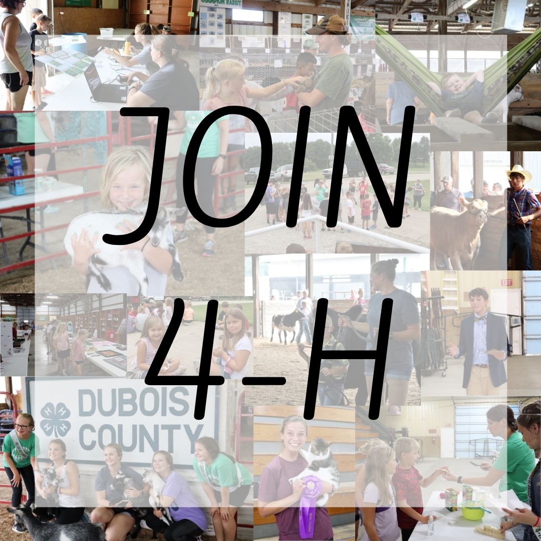 4-H Enrollment is officially open! Sign your kids up for 4-H today so they can learn new things, participate in fun clubs, and gain new experiences! You can enroll here v2.4honline.com If you need assistance come to our office or call us at 812-482-1782