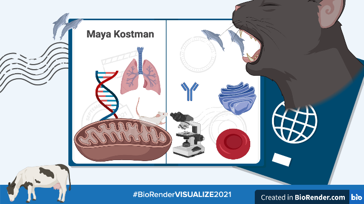 Maya Kostman (MPK) tweet media