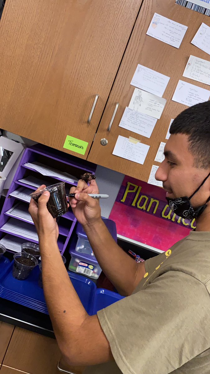 LazareScience's tweet image. It’s that time of year!!!! How do 🌱 see the 💡? Learn more: untamedscience.com/biology/plants… #jagscience #tropism #Day1 #engage #ThursdayThoughts