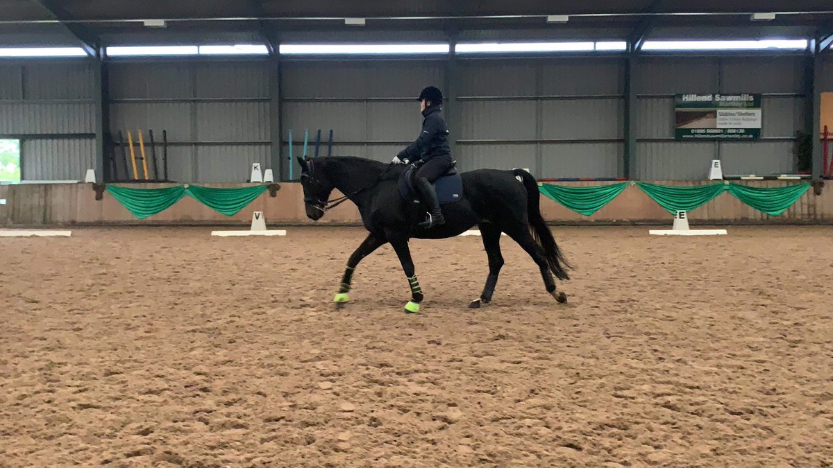 HRH Lexi had her brave 👑 on today in a spooky arena with the wind blowing and heavy rain. So proud of how she has come on since my fall last year where she lost all her confidence - it’s great to have her back 
#ponyhour #equineblogshare