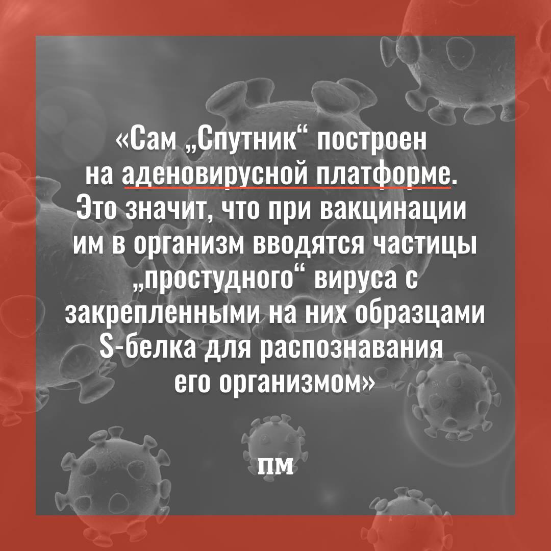 TechInsiderru's tweet image. Вакцина «Спутник V» создана на основе аденовируса. Но может ли она защитить от сезонной инфекции, которую вызывает у человека этот вирус?

popmech.ru/editorial/7502…