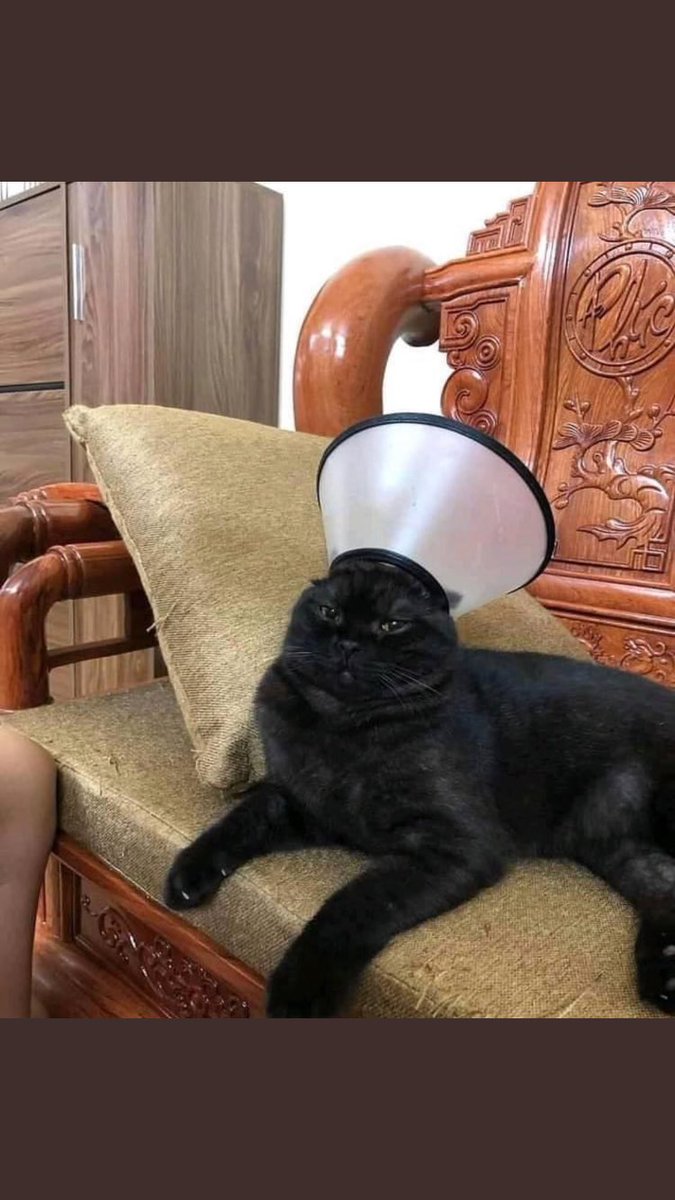 Bloody hell <a href="/NAshwangler/">Neal Ashwangler 🍮🇸🇪</a> , is there nothing you won’t turn into a lamp !! 🤣🤣🤣