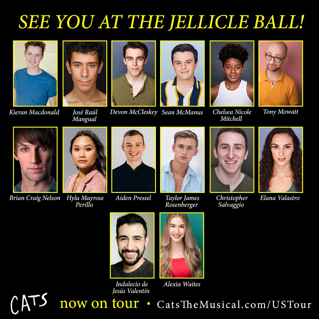 catsthemusical's tweet photo. Introducing this year’s Jellicles! We’re thrilled to bring #CatsTour across the nation with this talented cast. Visit https://t.co/UkdgNxK0jg for tour dates and cities. https://t.co/semgImu5oL