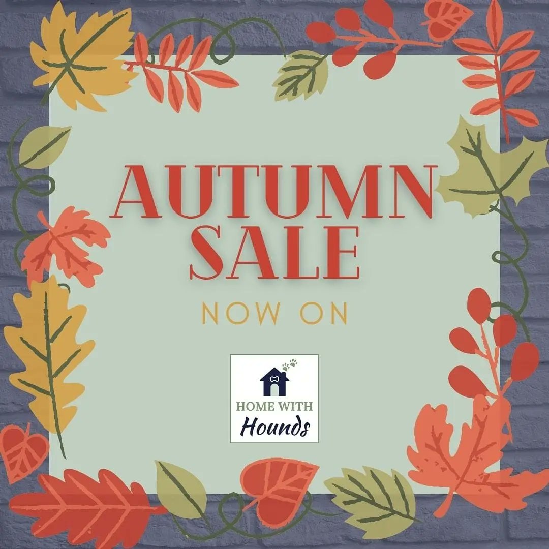 HomewithHounds's tweet photo. Autumn Sale Now On! 
We've added loads of fab #dog products into our new sale page with a range of discounts all available at https://t.co/Ax1ZhQpTVl 
Don't forget #freegift with every order! #sale https://t.co/bPOPkwblcl