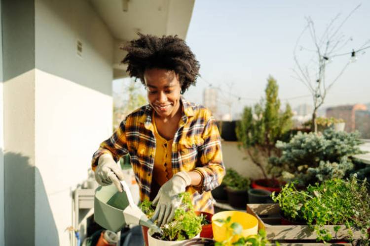 When our schedules seemed so crammed that we barely have the time and energy to tend to our garden, we must implement some time saving steps in order to manage our small gardens easily. Read Time Saving Tips for Managing Your Small Garden here: geshery.com/2021/small-gar…