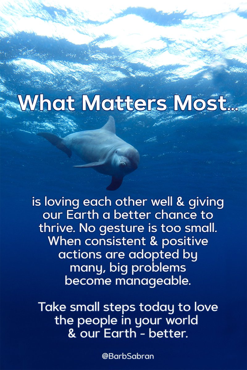 Cleanzing_'s tweet photo. You can make a difference today by choosing products like https://t.co/sYxIsnxoxq 's for a healthier ocean &amp; personal lifestyle upgrade! 
#sustainableliving 
#ocean 
#oceanhealth
#hygiene https://t.co/HF1LuEwL8k