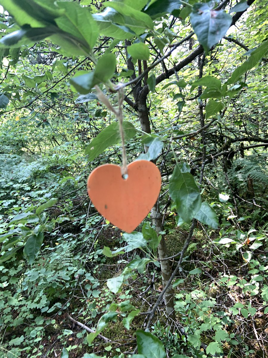 To mark National Truth and Reconciliation Day, each staff and student <a href="/Ecole_Southpark/">Ecolesouthpark</a> are designing their own heart with a personal message. Hearts will be displayed in the community to remind everyone that Every Child Matters. <a href="/deltasd37/">DeltaSchoolDistrict</a> <a href="/TREEL37/">Taj Reel</a>