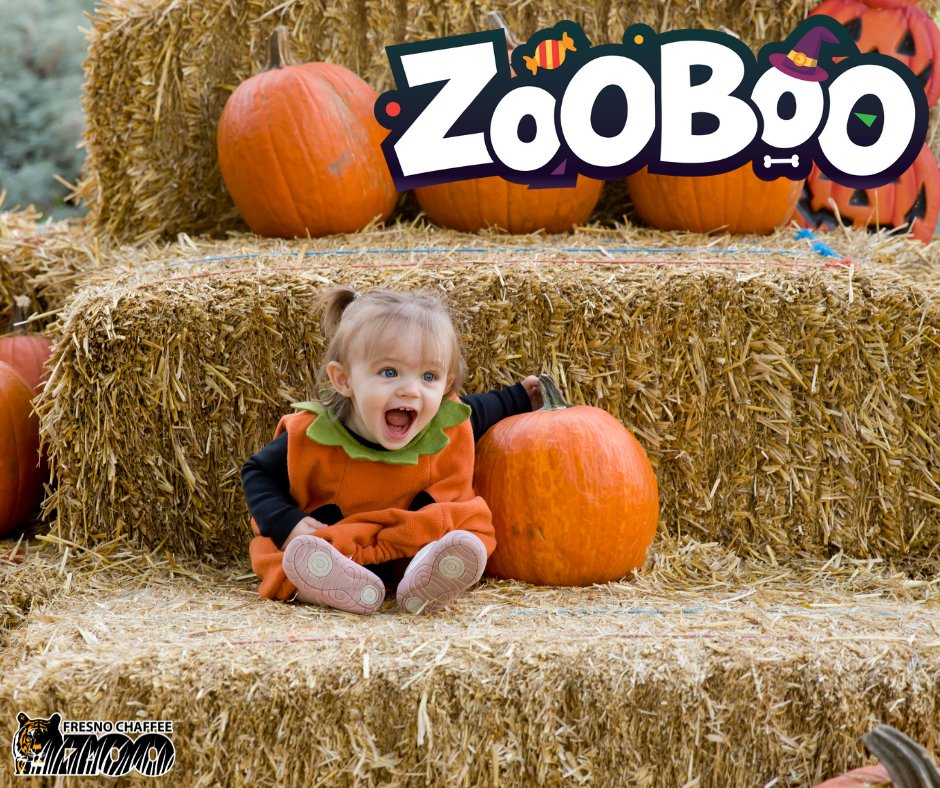 Fresno Chaffee Zoo tweet media