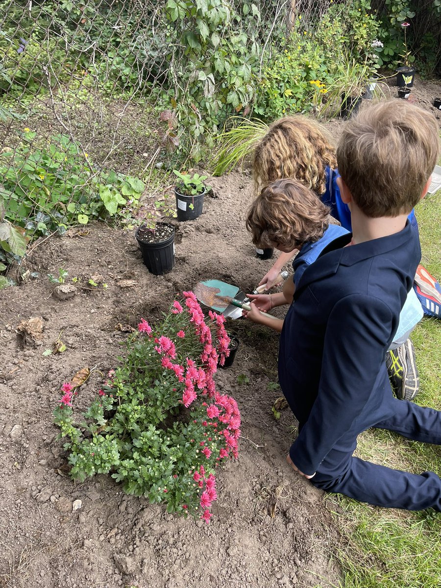 MrsNFarenick's tweet photo. We’re so proud of the work we have done for Truth &amp; Reconciliation. @OwenwoodP We planted to create a T&amp;R garden with plants that have medicinal properties. We tied orange ribbons in honour of the children that went through the residential school system. @PeelSchools https://t.co/554diMWPUV