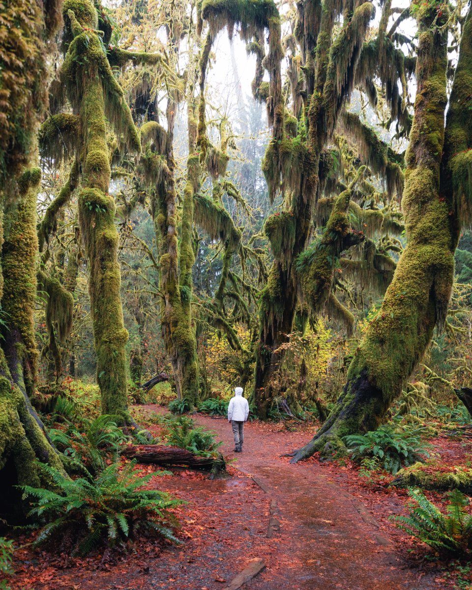 Michael Matti tweet media