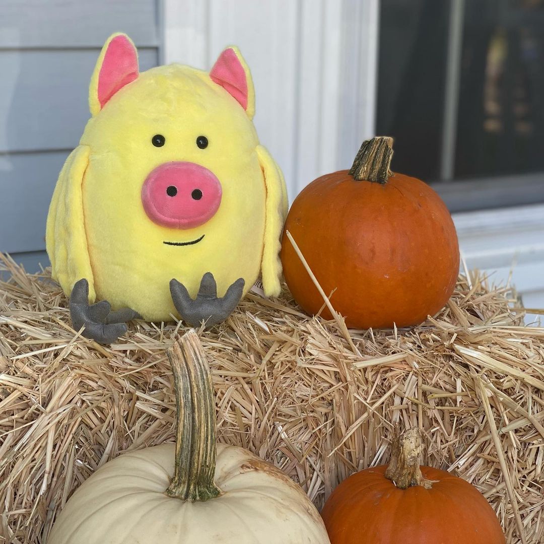 Over the last few years we’ve seen some amazing #Chickapig themed jack-o lanterns and Halloween costumes. Tag us so we can see your Chickapig pumpkins and costumes!