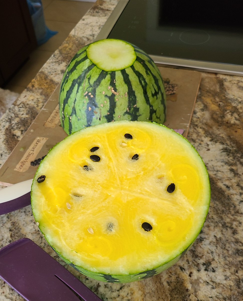 Okay, so I seriously wasn't expecting this watermelon to be yellow on the inside. 
Who's had a yellow watermelon before?