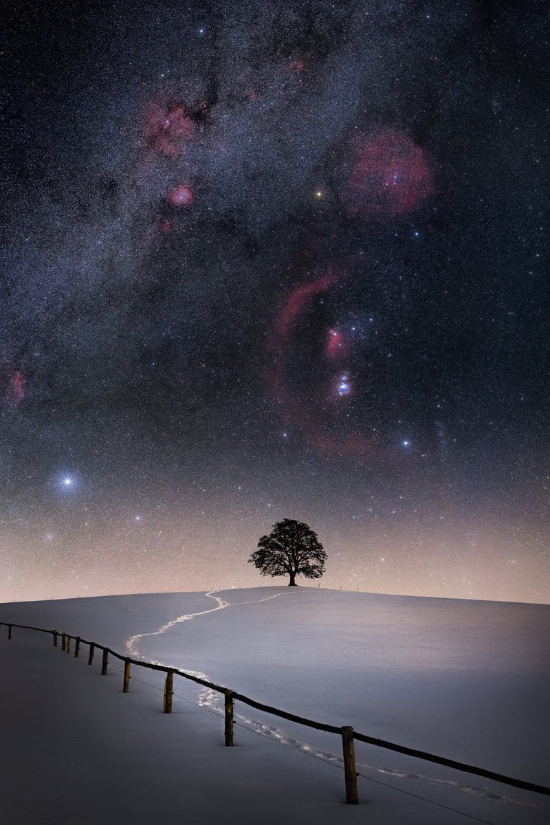 naturespace_'s tweet photo. https://t.co/lrIYLg27CN