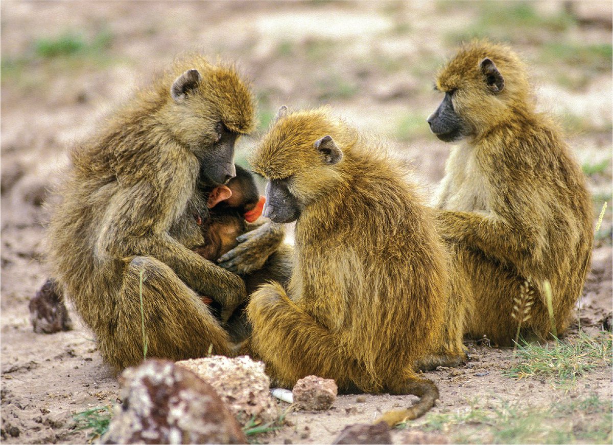 MicrobeMX Journal Club tweet media