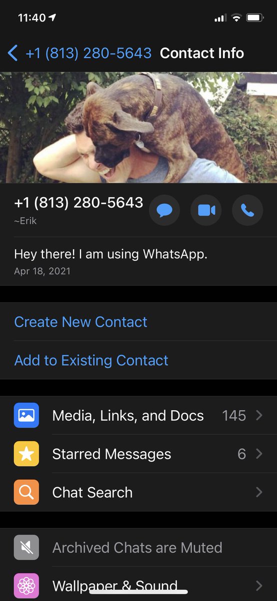 Patricia tweet media