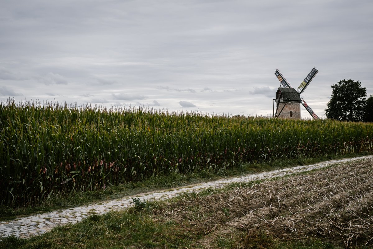 parisroubaix's tweet photo. 📸 It was recce day for the majority of teams on #ParisRoubaix and #ParisRoubaixFemmes!

📸 C'était jour de reco pour la plupart des équipes de #ParisRoubaix et #ParisRoubaixFemmes !

🤩 Revivez cette journée en photos sur notre page Facebook : https://t.co/a0UqYIL77b https://t.co/oeVRmowvht
