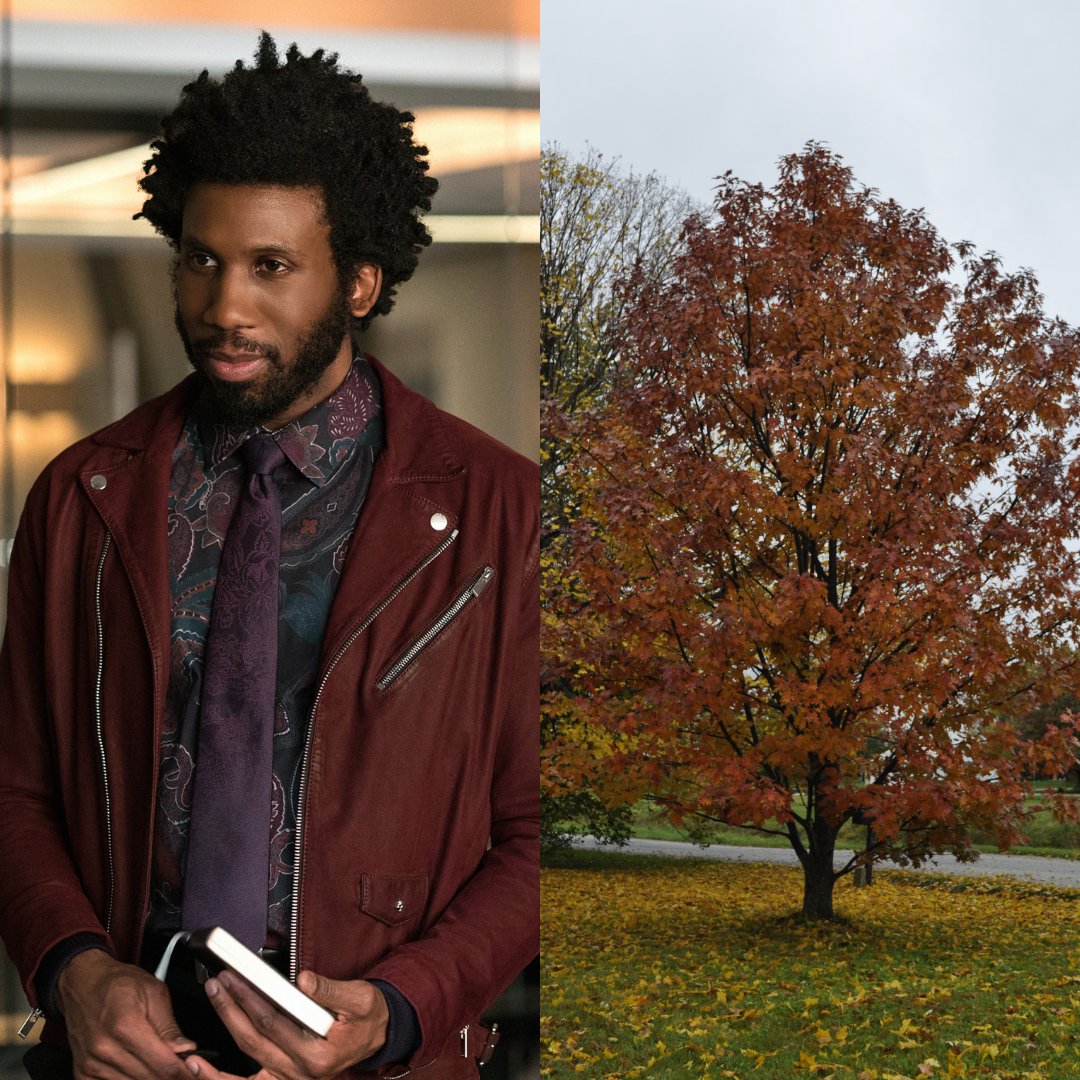 The Good Fight tweet media