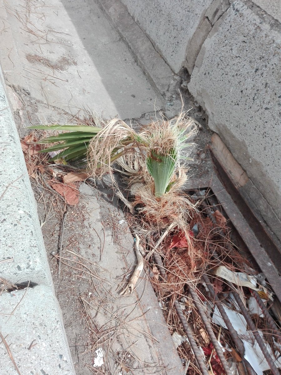 Juan_Quejas's tweet photo. CENTRO DE SALUD NORTE, ALGECIRAS https://t.co/Pabv8RRVCI