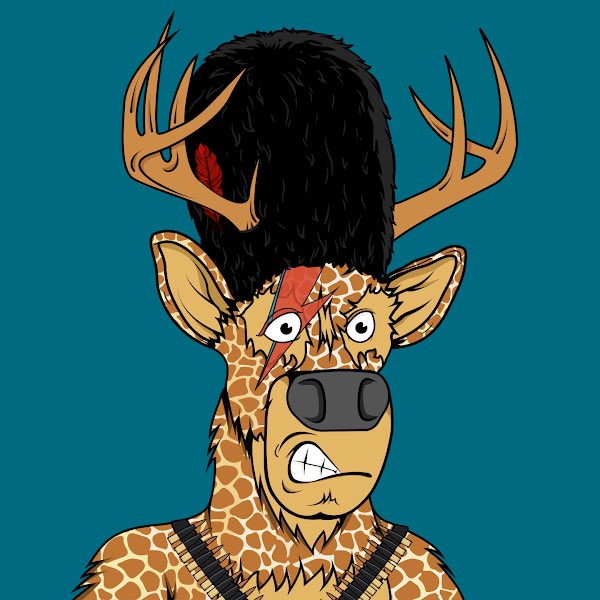 aaronito_'s tweet photo. What a great approach by the team. So impressed by this project. Flex your stag .. let’s see what you got ? https://t.co/wAaw7UijO9