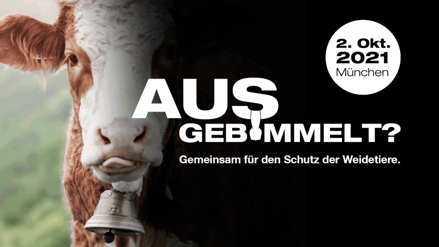 ModernLandwirt's tweet photo. Demo - Ausgebimmelt? Gemeinsam für den Schutz der Weidetiere - 2. Oktober 2021
#ModernerLandwirt #Landwirtschaft
#Ausgebimmelt #Weidetiere #Weidetierhaltung #Weidetierverlusten #Wolf #Wolfsriss #Wolfsrisse #Wolfsübergriffen
https://t.co/1yPD3utZhO https://t.co/fgWyLBN8XO