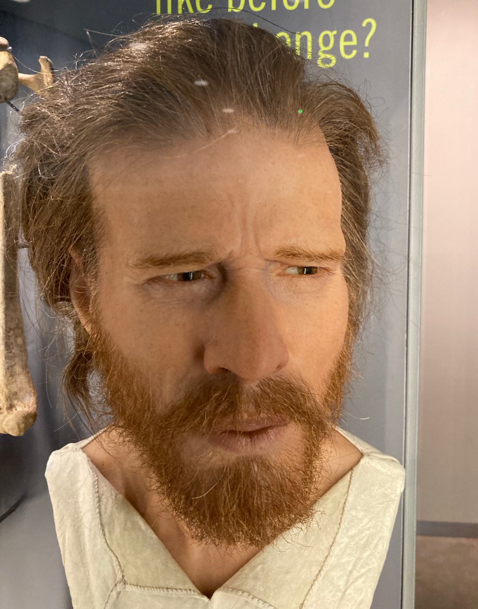 The face of ‘Stonehenge Man’. A forensic reconstruction of a Neolithic man born about 5,500 years ago and buried in a long barrow near Stonehenge. He lived in the area before the stone circle was built. The long barrow was excavated in the 1860s.

#Archaeology