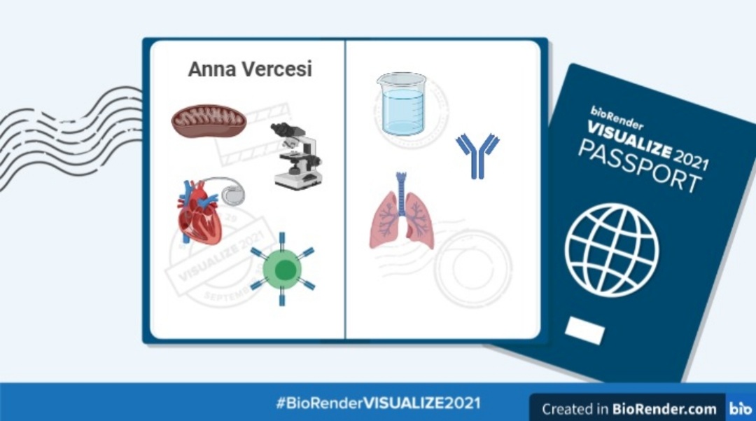 codingscience_'s tweet image. #BioRenderVISUALIZE2021 @BioRender