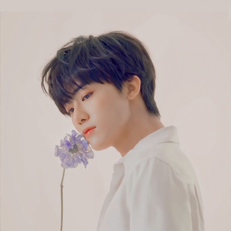 ผมจะเอาทุกดวงดาวบนท้องฟ้ามาให้ซีจือนี่ — แจมิน NCT 🐰💘